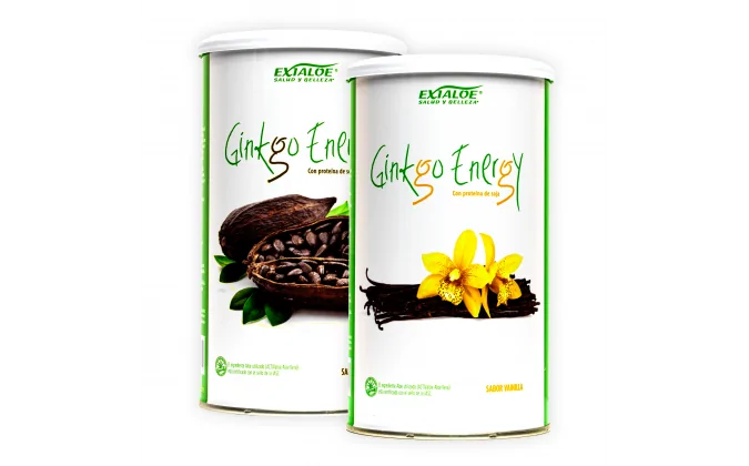 Ginkgo Energy