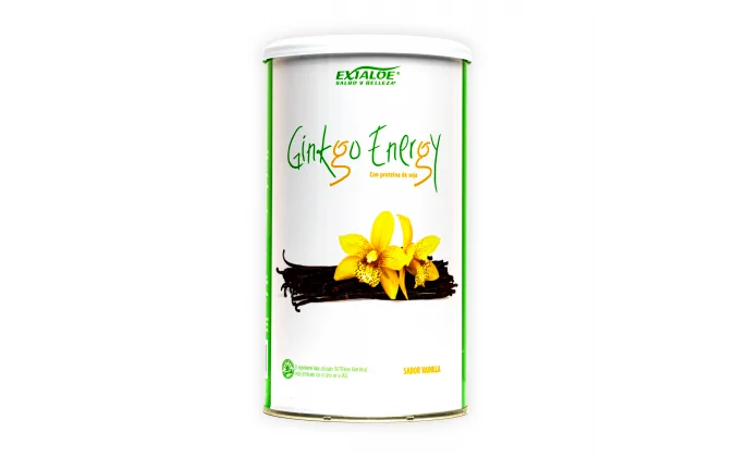 Ginkgo Energy