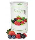 Prote Energy