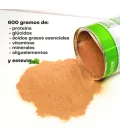Exialoe Energy